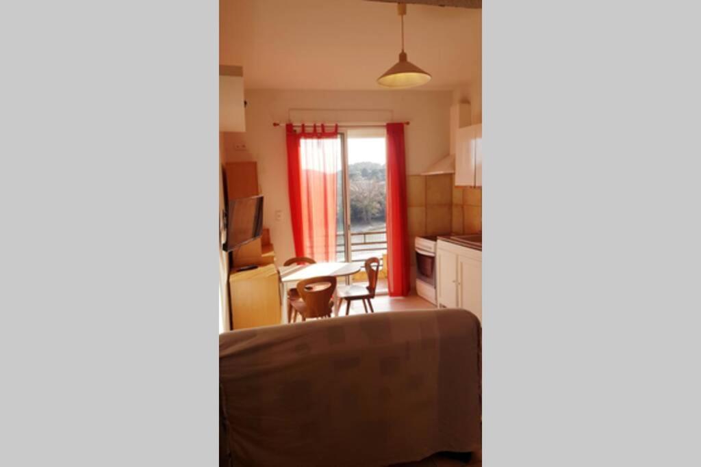 Joli Appartement, Terrasse Plein Sud Roquebrun Dış mekan fotoğraf